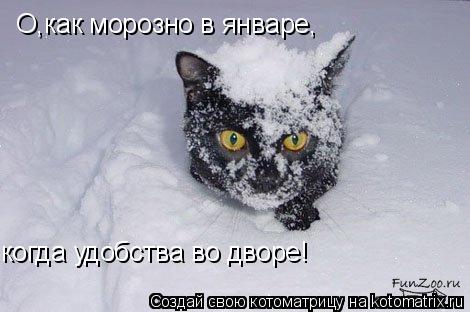 О,как морозно в январе, когда удобства во дворе!... Котоматрица: О,как морозно в январе, когда удобства во дворе!