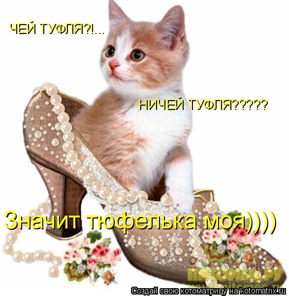 Котоматрица: ЧЕЙ ТУФЛЯ?!... НИЧЕЙ ТУФЛЯ????? Значит тюфелька моя))))