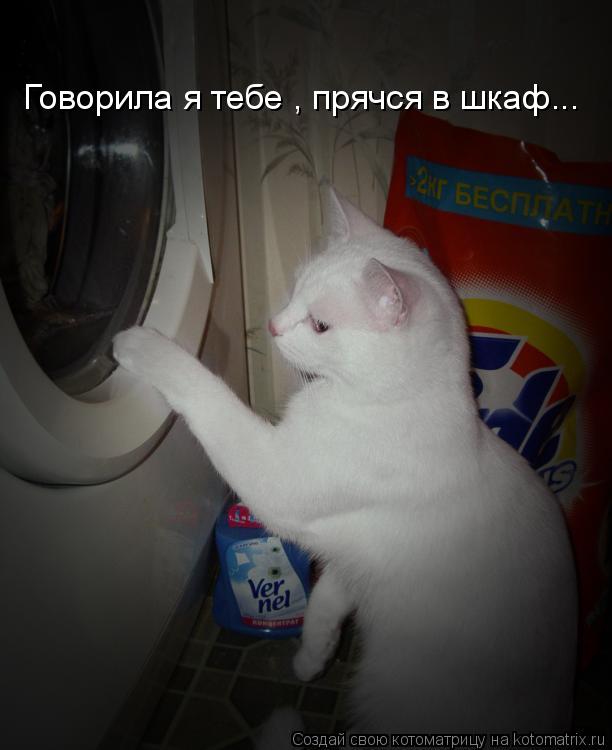 Говорила я тебе , прячся в шкаф...... Котоматрица: Говорила я тебе , прячся в шкаф...