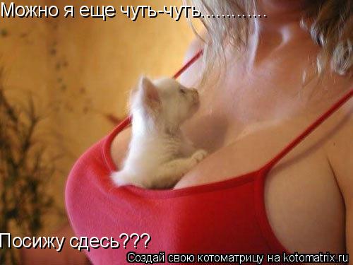 Можно я еще чуть-чуть............. Посижу сдесь???... Котоматрица: Можно я еще чуть-чуть............. Посижу сдесь???