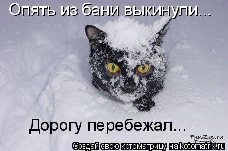 Котоматрица: Опять из бани выкинули... Дорогу перебежал...