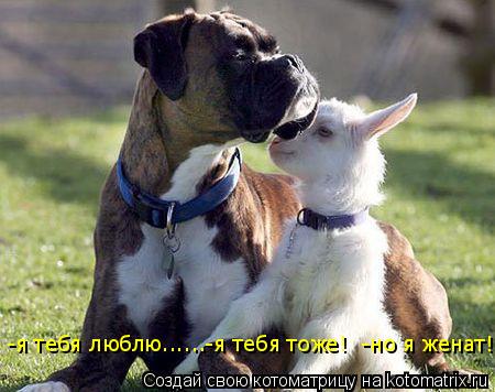 Котоматрица: -я тебя люблю......-я тебя тоже!  -но я женат!