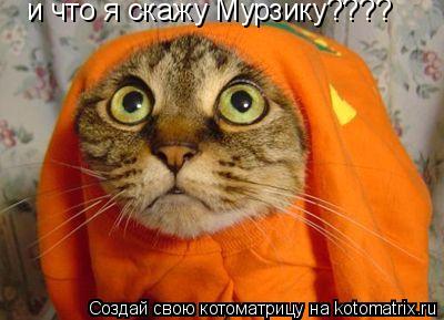и что я скажу Мурзику????... Котоматрица: и что я скажу Мурзику????
