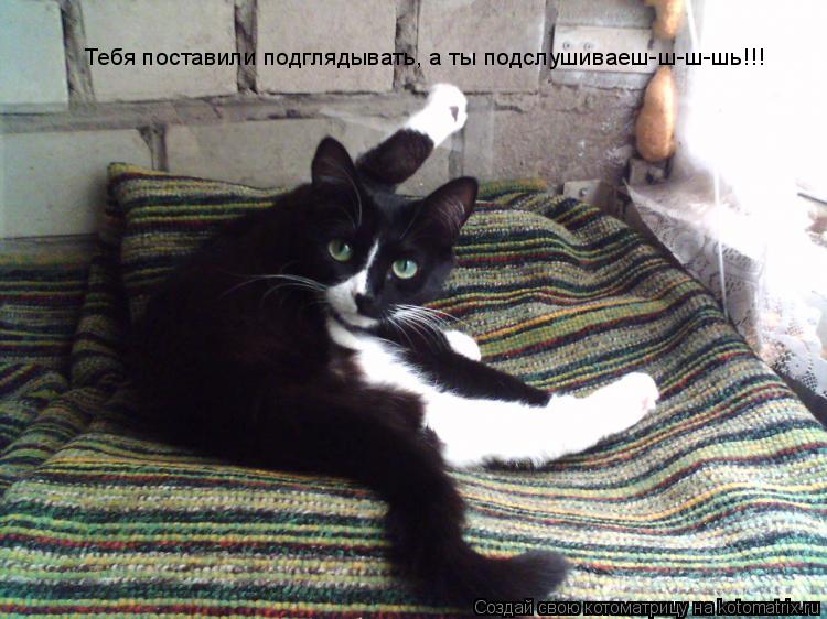 Котоматрица: Тебя поставили подглядывать, а ты подслушиваеш-ш-ш-шь!!!