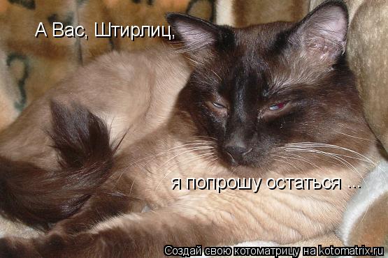 А Вас, Штирлиц, я попрошу остаться ...... Котоматрица: А Вас, Штирлиц, я попрошу остаться ...