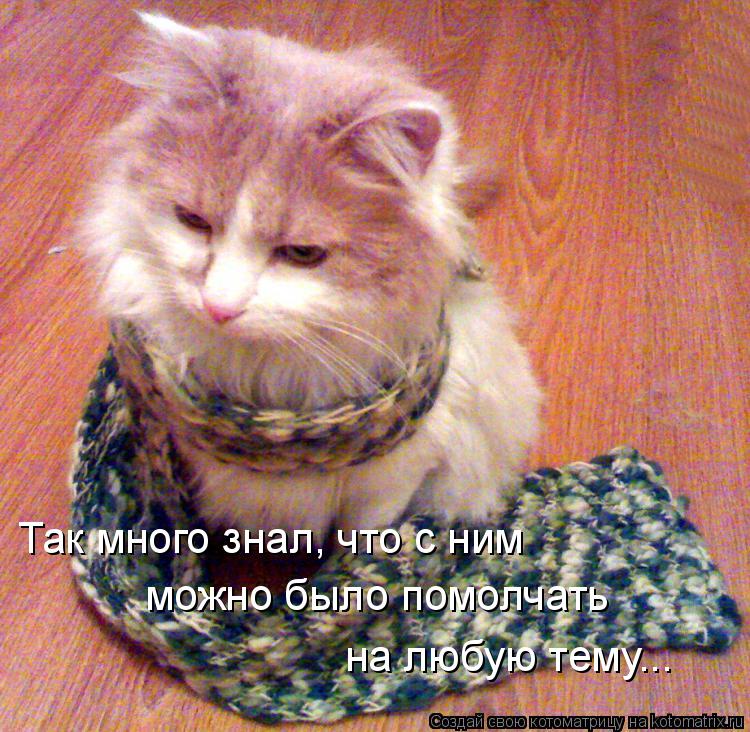 Котоматрица: Так много знал, что с ним можно было помолчать на любую тему...