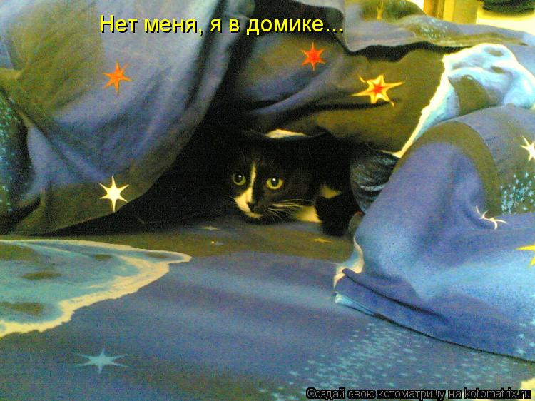 Котоматрица: Нет меня, я в домике...