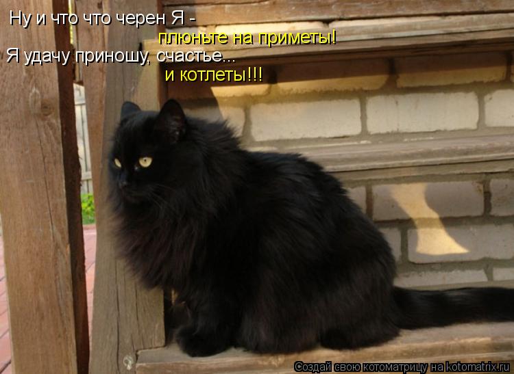 Ну и что что черен Я - Я удачу приношу, счастье... и котлеты!!! плюньте на приметы!... Котоматрица: Ну и что что черен Я - Я удачу приношу, счастье... и котлеты!!! плюньте на приметы!
