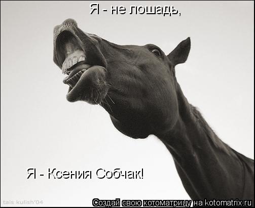 Я - не лошадь, Я - Ксения Собчак!... Котоматрица: Я - не лошадь, Я - Ксения Собчак!