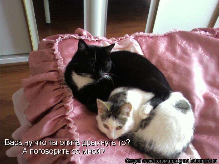 -Вась,ну что ты опять дрыхнуть то? А поговорить со мной?... Котоматрица: -Вась,ну что ты опять дрыхнуть то? А поговорить со мной?