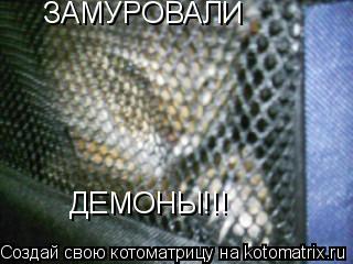 ЗАМУРОВАЛИ ДЕМОНЫ!!!... Котоматрица: ЗАМУРОВАЛИ ДЕМОНЫ!!!
