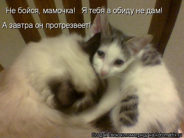 Не дам себя в обиду стих Не дам себя в обиду стих