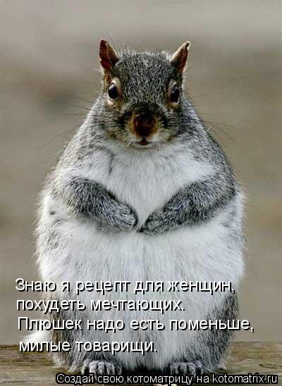 Знаю я рецепт для женщин, похудеть мечтающих. Плюшек надо есть поменьше, милые товарищи.... Котоматрица: Знаю я рецепт для женщин, похудеть мечтающих. Плюшек надо есть поменьше, милые товарищи.