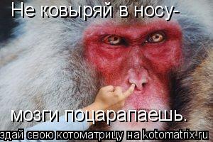 Не ковыряй в носу- мозги поцарапаешь.... Котоматрица: Не ковыряй в носу- мозги поцарапаешь.