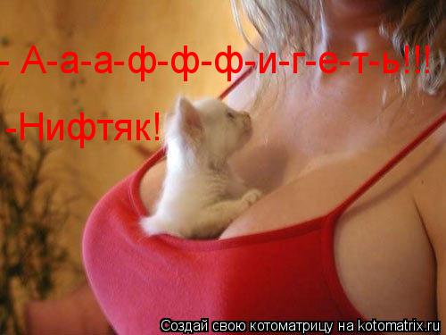 - А-а-а-ф-ф-ф-и-г-е-т-ь!!! -Нифтяк!... Котоматрица: - А-а-а-ф-ф-ф-и-г-е-т-ь!!! -Нифтяк!