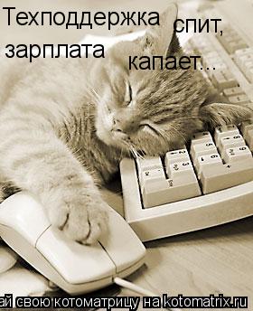 Котоматрица: Техподдержка спит, зарплата капает...