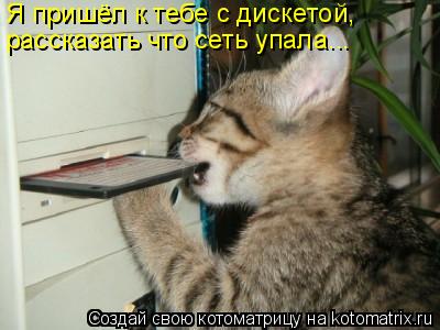 рассказать что сеть упала... Я пришёл к тебе с дискетой,... Котоматрица: рассказать что сеть упала... Я пришёл к тебе с дискетой,