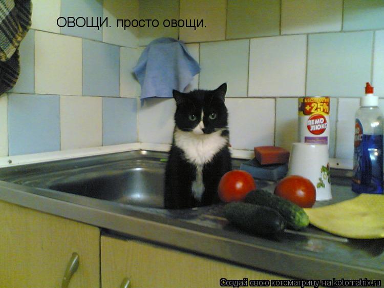 Котоматрица: ОВОЩИ. просто овощи.