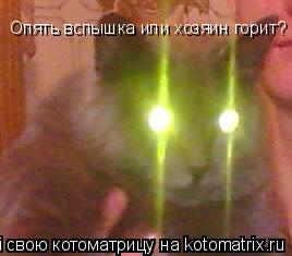 Опять вспышка или хозяин горит?... Котоматрица: Опять вспышка или хозяин горит?