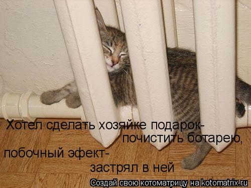 Хотел сделать хозяйке подарок- побочный эфект- застрял в ней почистить ботарею,... Котоматрица: Хотел сделать хозяйке подарок- побочный эфект- застрял в ней почистить ботарею,