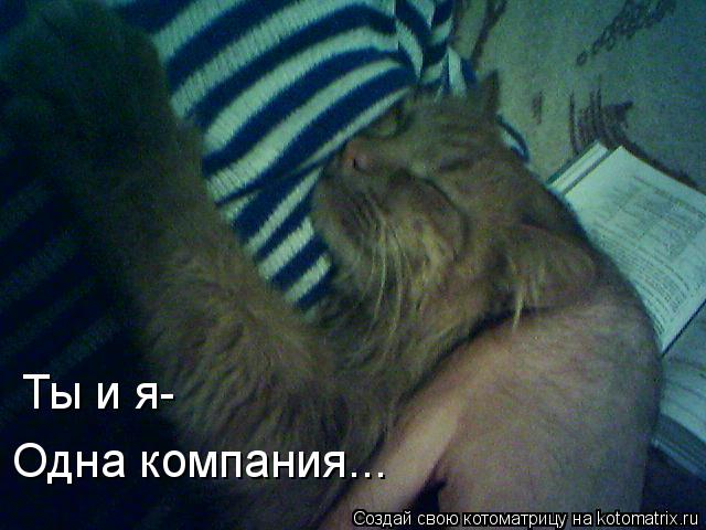 Ты и я- Одна компания...... Котоматрица: Ты и я- Одна компания...