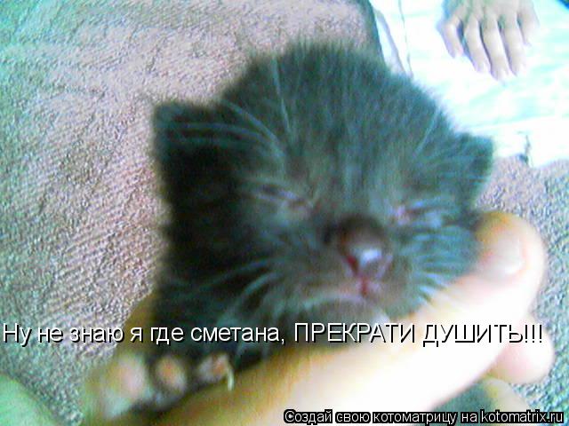 Ну не знаю я где сметана, ПРЕКРАТИ ДУШИТЬ!!!... Котоматрица: Ну не знаю я где сметана, ПРЕКРАТИ ДУШИТЬ!!!