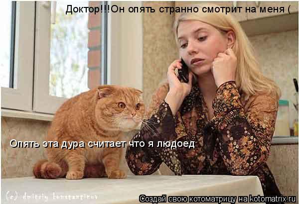 Опять эта дура считает что я людоед Доктор!!!Он опять странно смотрит на меня (... Котоматрица: Опять эта дура считает что я людоед Доктор!!!Он опять странно смотрит на меня (