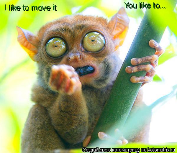 Котоматрица: I like to move it You like to...