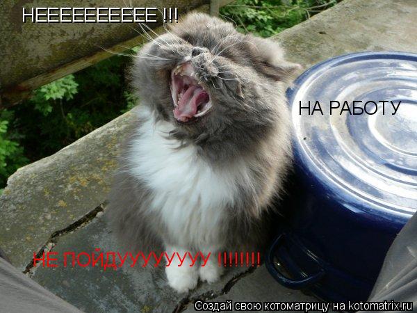 НЕЕЕЕЕЕЕЕЕЕ !!! НА РАБОТУ НЕ ПОЙДУУУУУУУУ !!!!!!!!... Котоматрица: НЕЕЕЕЕЕЕЕЕЕ !!! НА РАБОТУ НЕ ПОЙДУУУУУУУУ !!!!!!!!