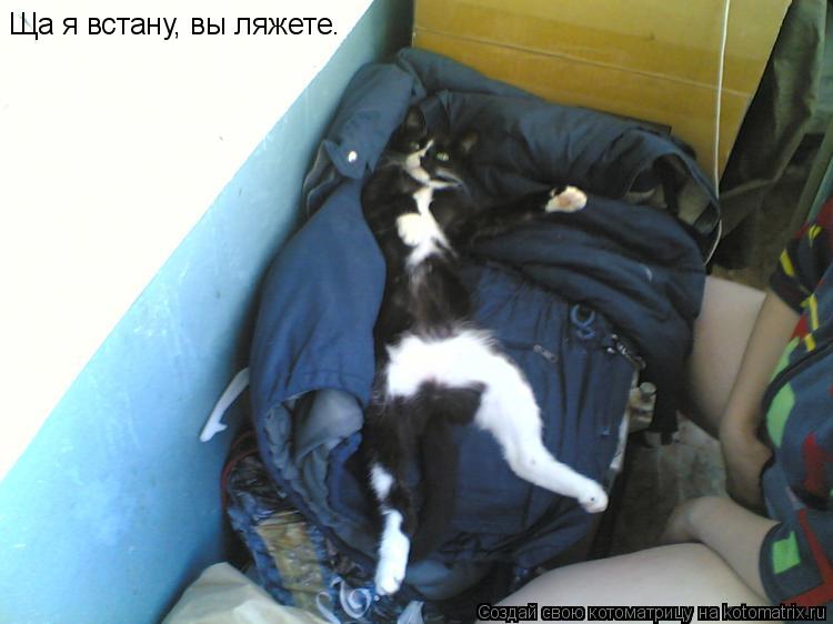 Котоматрица: Ща я встану, вы ляжете.