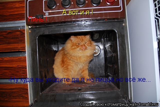 Пинь ! -Ну куда вы уходите,да я не пицца,но всё же... А вот и я !... Котоматрица: Пинь ! -Ну куда вы уходите,да я не пицца,но всё же... А вот и я !