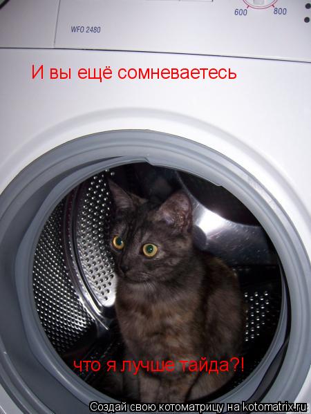 И вы ещё сомневаетесь что я лучше тайда?!... Котоматрица: И вы ещё сомневаетесь что я лучше тайда?!