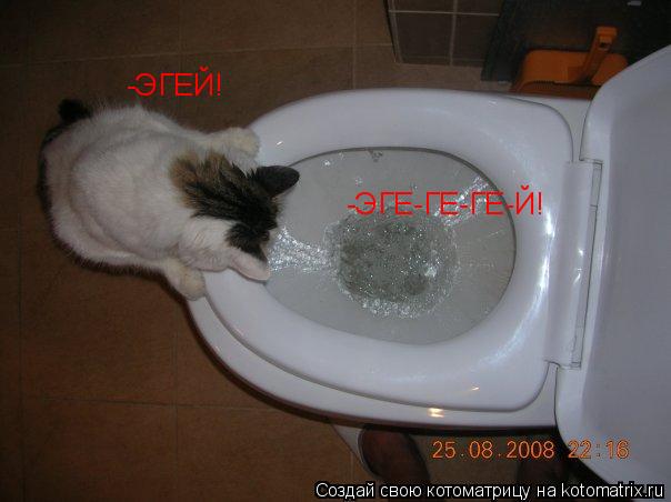 Котоматрица: -ЭГЕЙ! -ЭГЕ-ГЕ-ГЕ-Й!