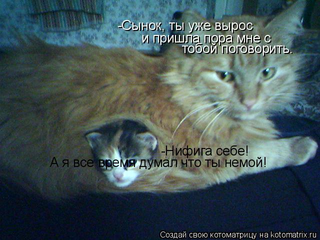 Котоматрица: -Сынок, ты уже вырос и пришла пора мне с тобой поговорить. -Нифига себе! А я все время думал что ты немой!