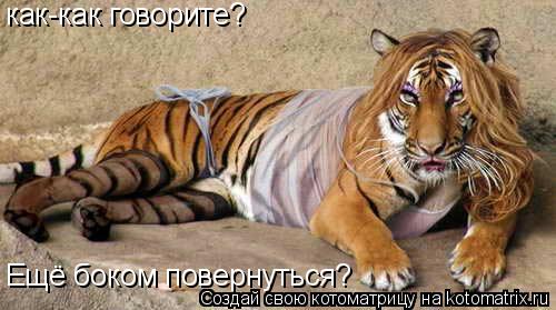 как-как говорите? Ещё боком повернуться?... Котоматрица: как-как говорите? Ещё боком повернуться?