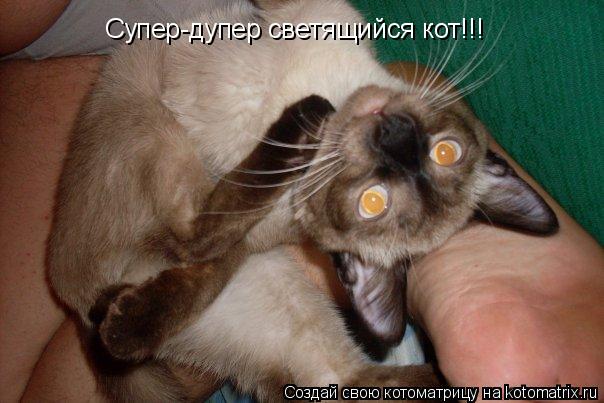 Котоматрица: Супер-дупер светящийся кот!!!