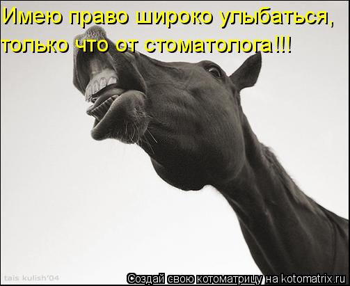 Имею право широко улыбаться, только что от стоматолога!!!... Котоматрица: Имею право широко улыбаться, только что от стоматолога!!!