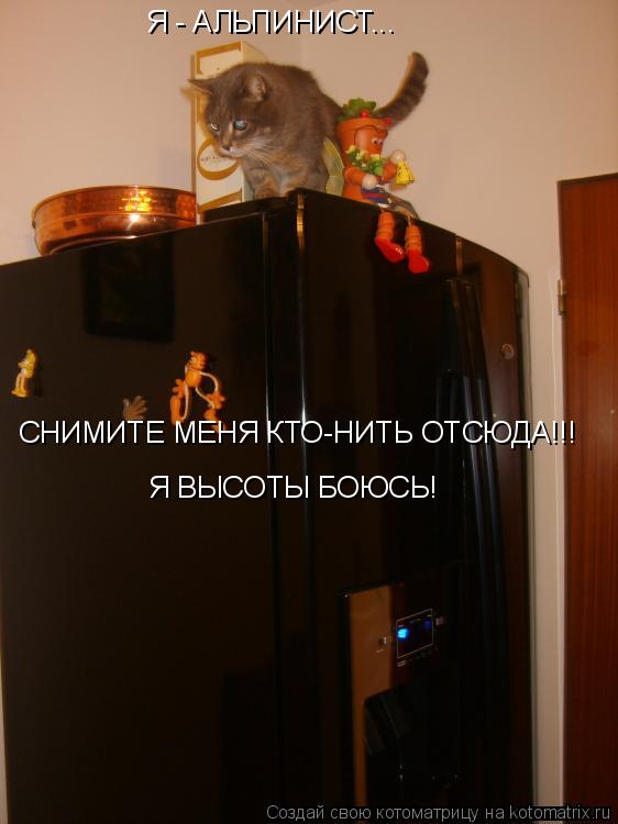 Я - АЛЬПИНИСТ... СНИМИТЕ МЕНЯ КТО-НИТЬ ОТСЮДА!!! Я ВЫСОТЫ БОЮСЬ!... Котоматрица: Я - АЛЬПИНИСТ... СНИМИТЕ МЕНЯ КТО-НИТЬ ОТСЮДА!!! Я ВЫСОТЫ БОЮСЬ!