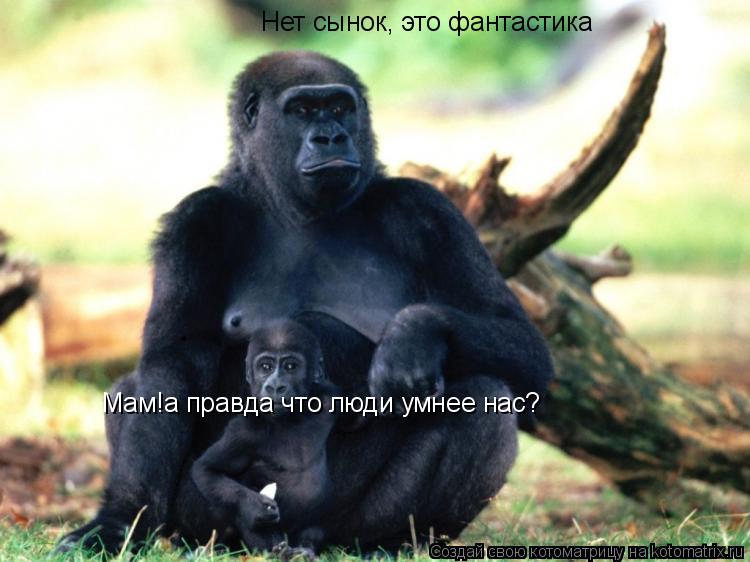 Мам!а правда что люди умнее нас? Нет сынок, это фантастика... Котоматрица: Мам!а правда что люди умнее нас? Нет сынок, это фантастика