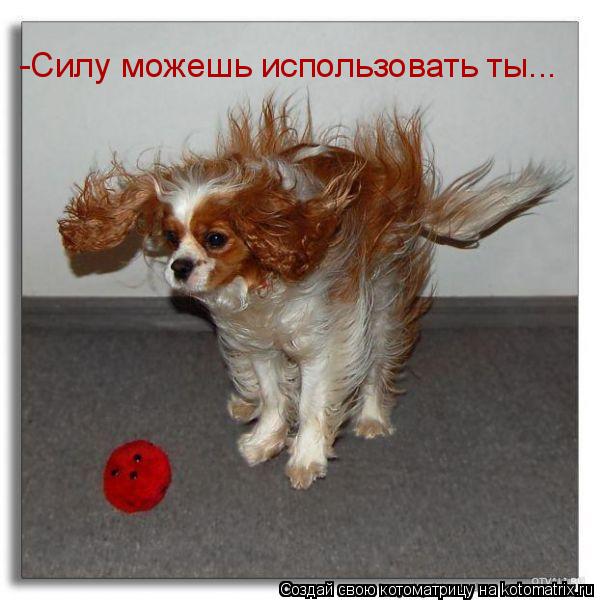 -Силу можешь использовать ты...... Котоматрица: -Силу можешь использовать ты...