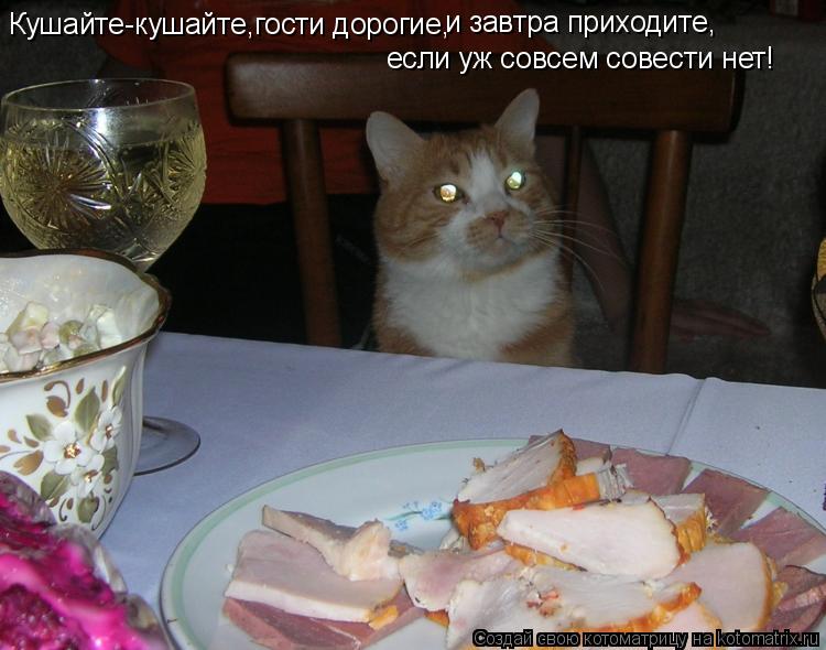 Кушайте-кушайте,гости дорогие, и завтра приходите, если уж совсем совести нет!... Котоматрица: Кушайте-кушайте,гости дорогие, и завтра приходите, если уж совсем совести нет!