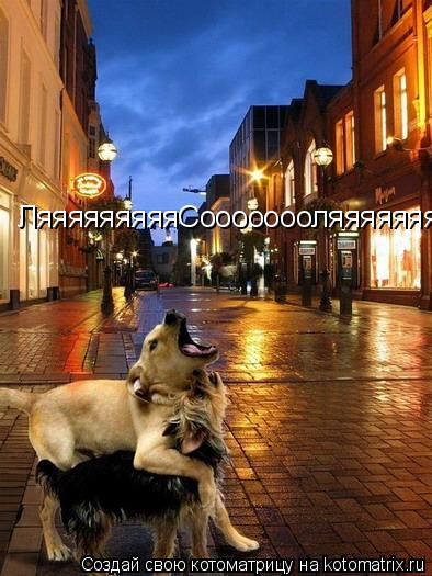 ЛяяяяяяяяяСоооооооляяяяяяяяяяяяяя... Котоматрица: ЛяяяяяяяяяСоооооооляяяяяяяяяяяяяя