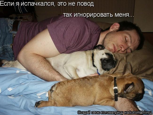 Если я испачкался, это не повод так игнорировать меня...... Котоматрица: Если я испачкался, это не повод так игнорировать меня...