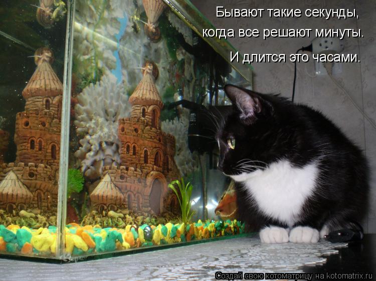 Бывают такие секунды, когда все решают минуты. И длится это часами.... Котоматрица: Бывают такие секунды, когда все решают минуты. И длится это часами.