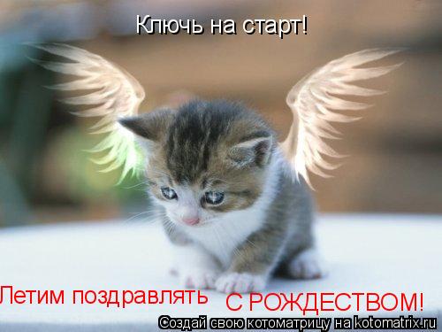 Ключь на старт! С РОЖДЕСТВОМ! Летим поздравлять... Котоматрица: Ключь на старт! С РОЖДЕСТВОМ! Летим поздравлять