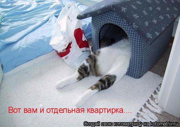 Вот вам и отдельная квартирка....... Котоматрица: Вот вам и отдельная квартирка....