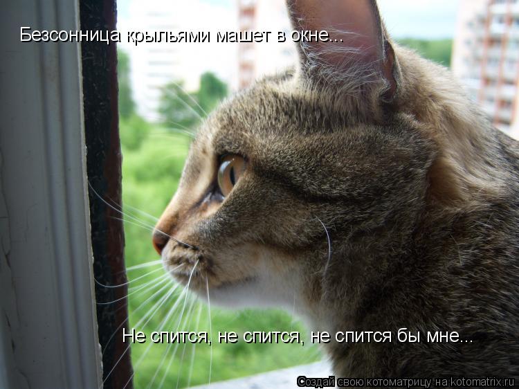 Безсонница крыльями машет в окне... Не спится, не спится, не спится бы мне...... Котоматрица: Безсонница крыльями машет в окне... Не спится, не спится, не спится бы мне...