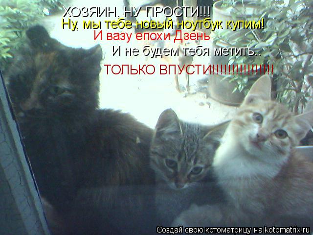 ХОЗЯИН, НУ ПРОСТИ!!! Ну, мы тебе новый ноутбук купим! И вазу епохи Дзень И не будем тебя метить.. ТОЛ... Котоматрица: ХОЗЯИН, НУ ПРОСТИ!!! Ну, мы тебе новый ноутбук купим! И вазу епохи Дзень И не будем тебя метить.. ТОЛЬКО ВПУСТИ!!!!!!!!!!!!!!!!