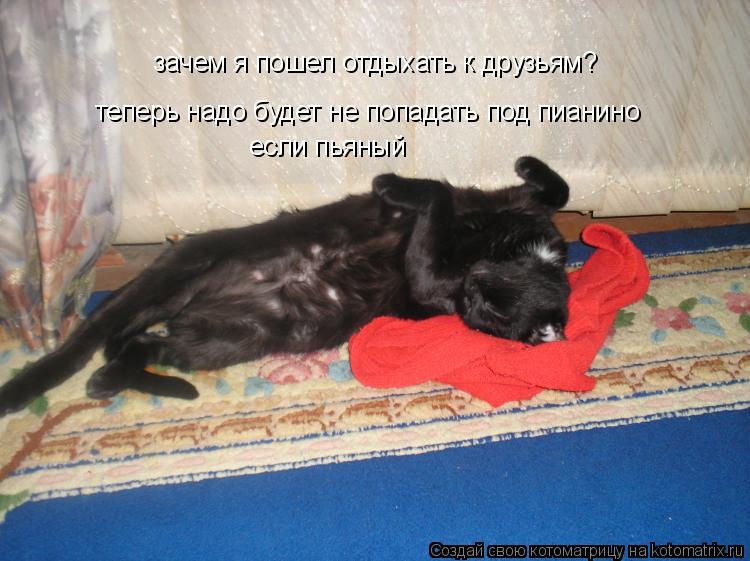 зачем я пошел отдыхать к друзьям? теперь надо будет не попадать под пианино если пьяный... Котоматрица: зачем я пошел отдыхать к друзьям? теперь надо будет не попадать под пианино если пьяный