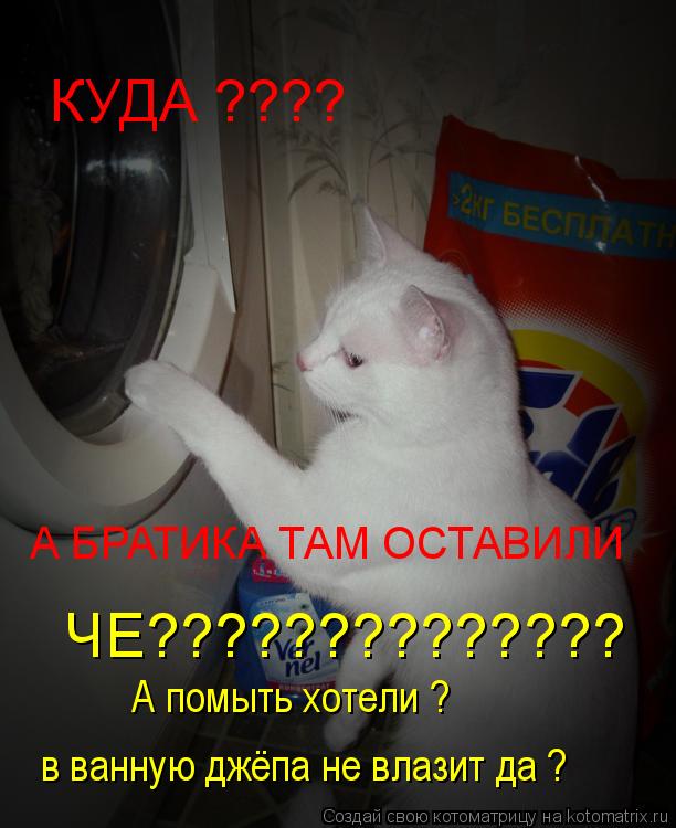 КУДА ???? А БРАТИКА ТАМ ОСТАВИЛИ ЧЕ?????????????? А помыть хотели ? в ванную джёпа не влазит да ?... Котоматрица: КУДА ???? А БРАТИКА ТАМ ОСТАВИЛИ ЧЕ?????????????? А помыть хотели ? в ванную джёпа не влазит да ?